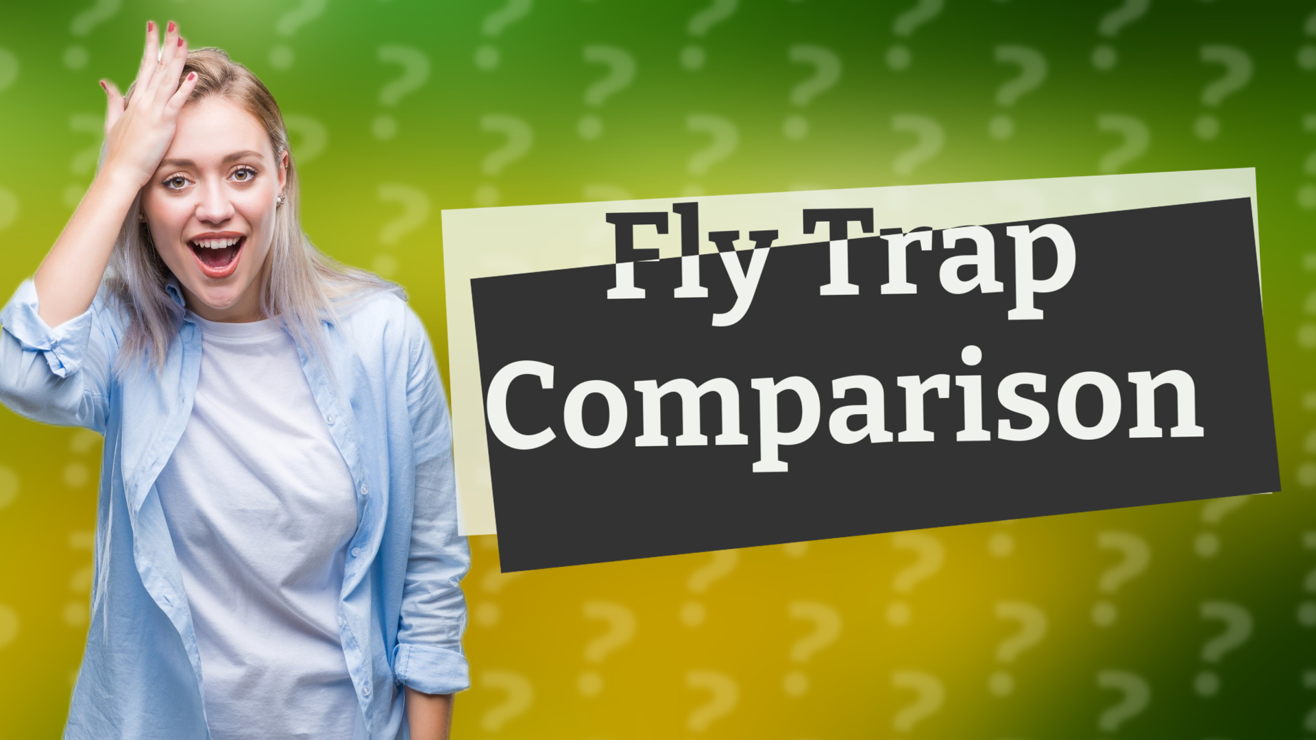 Fly Trap Comparison