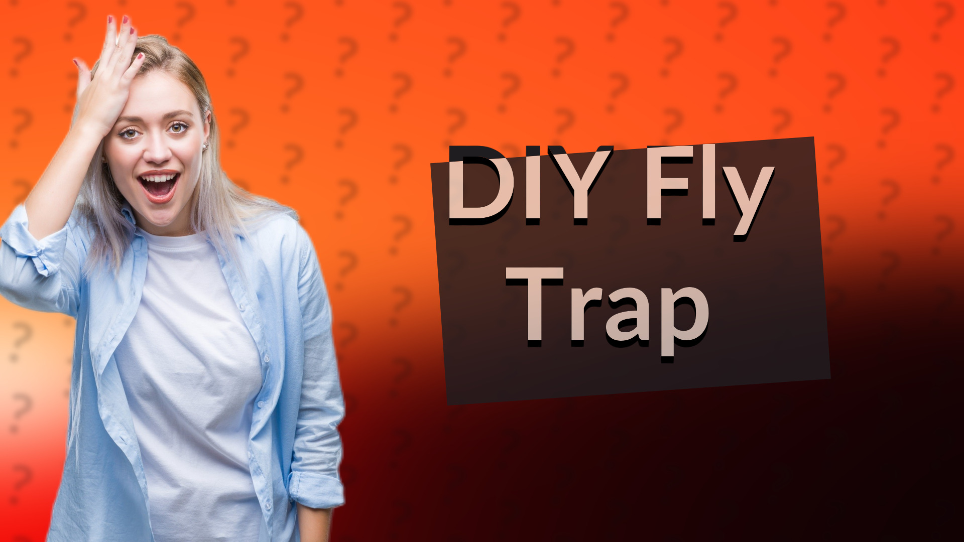 DIY Fly Trap