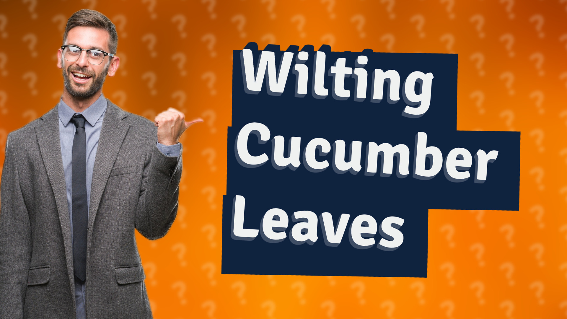 Wilting Cucumber Leaves