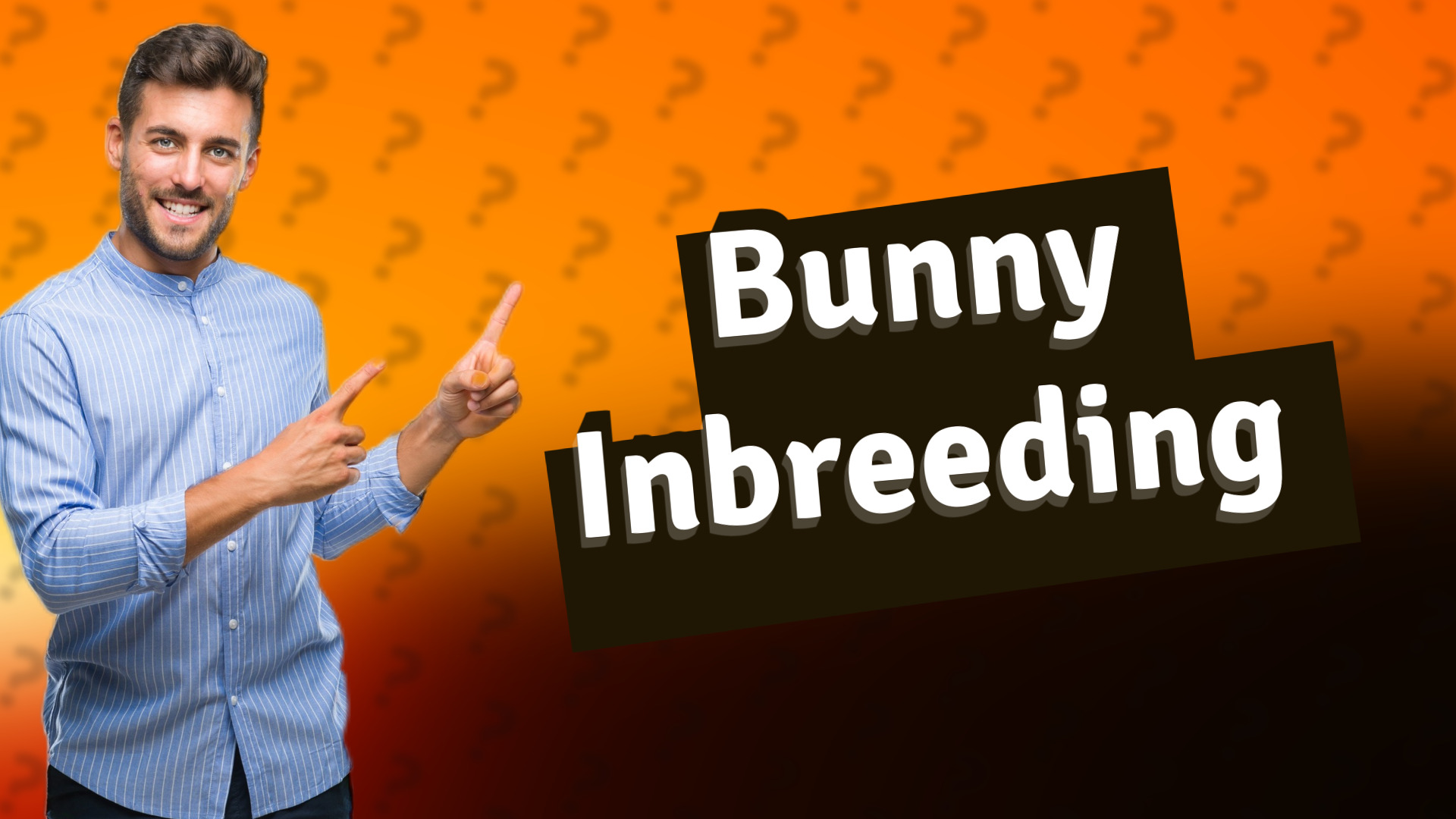 Bunny Inbreeding