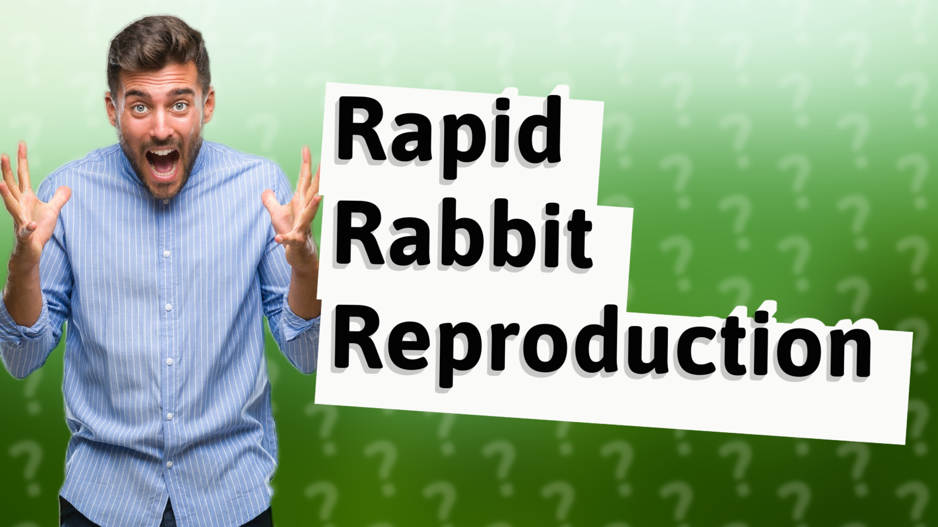 Rapid Rabbit Reproduction