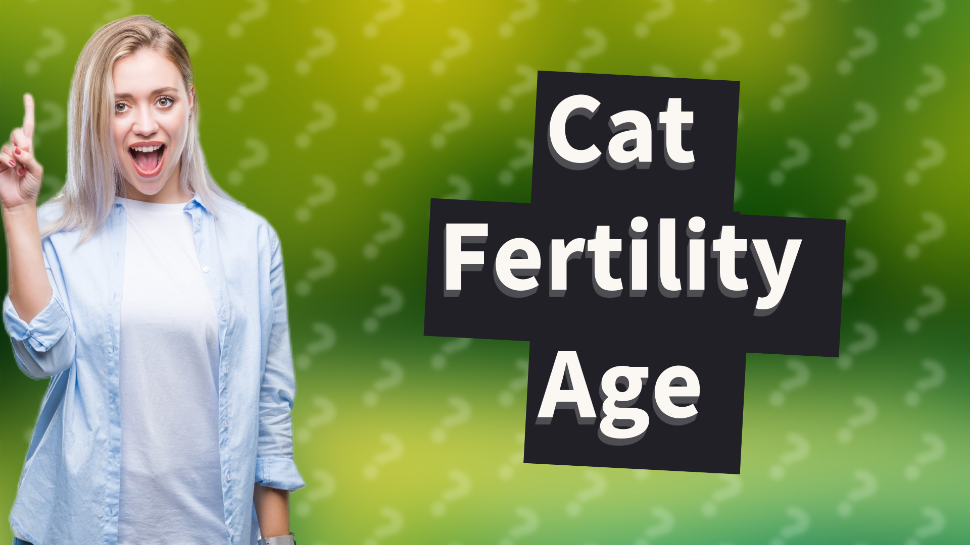 Cat Fertility Age