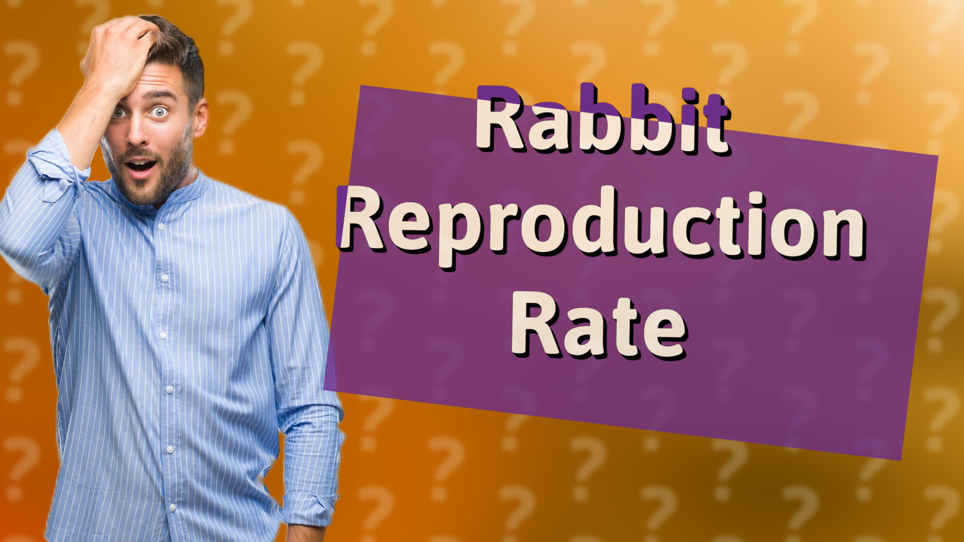 Rabbit Reproduction Rate
