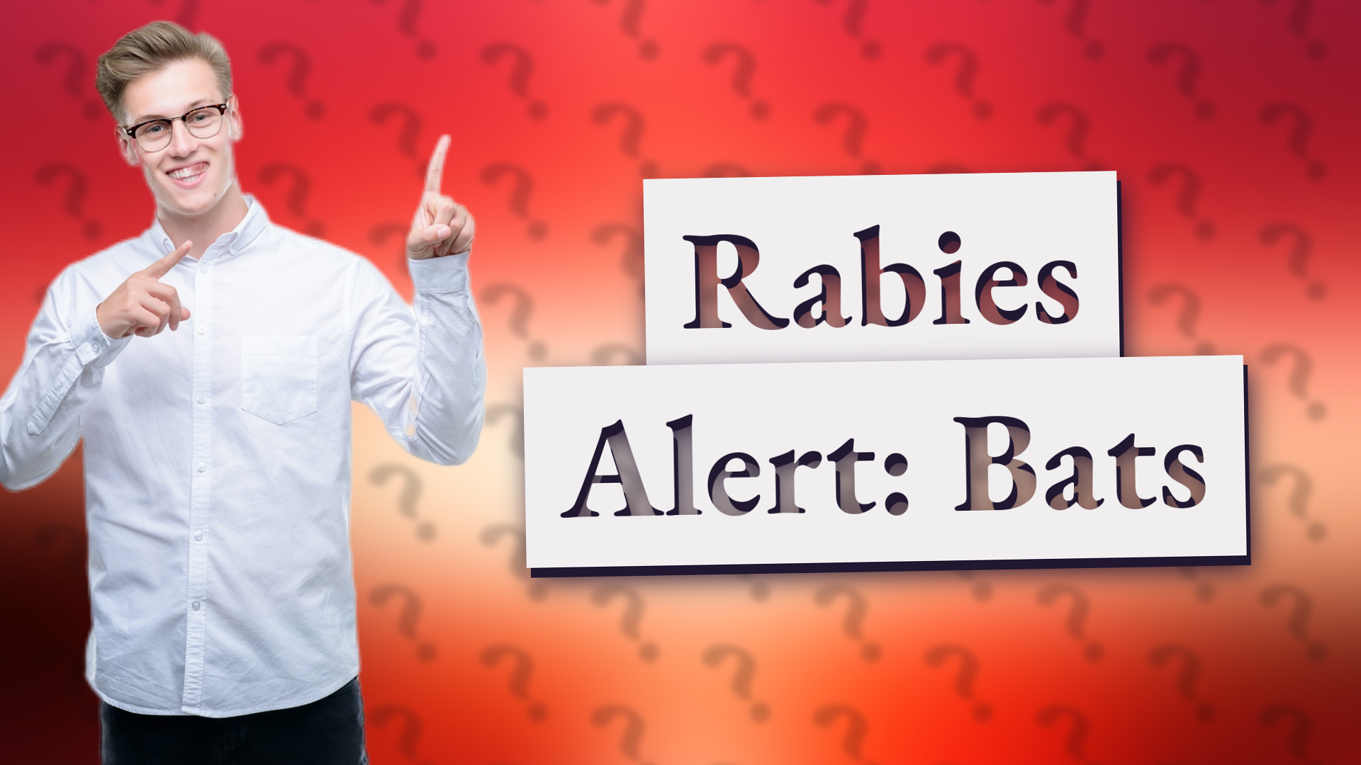 Rabies Alert: Bats