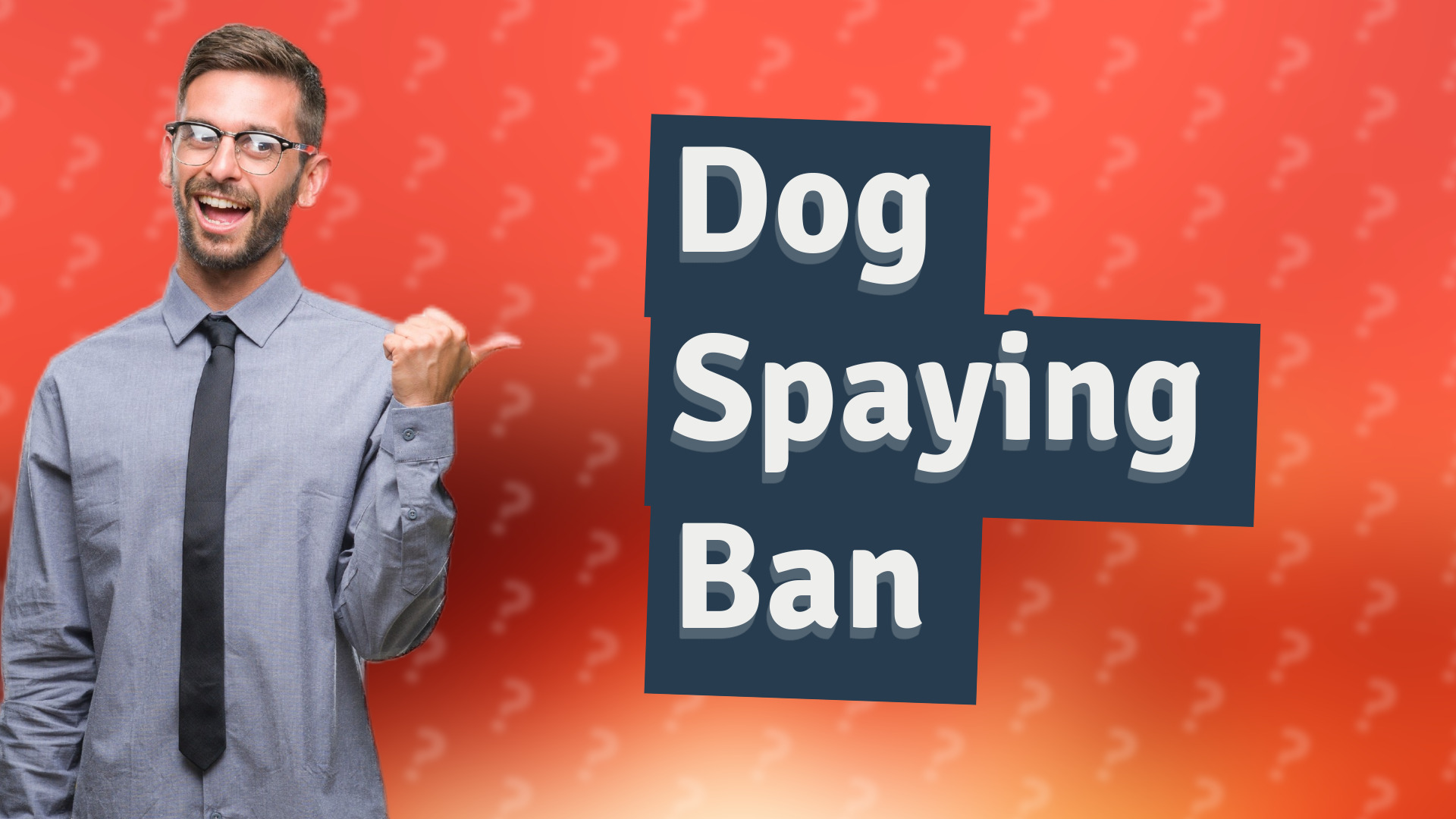 Dog Spaying Ban