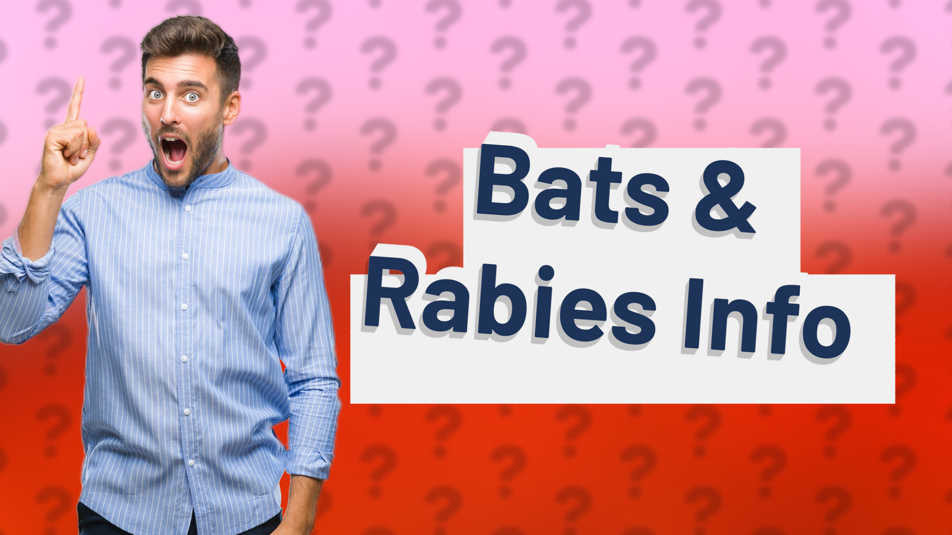 Bats & Rabies Info