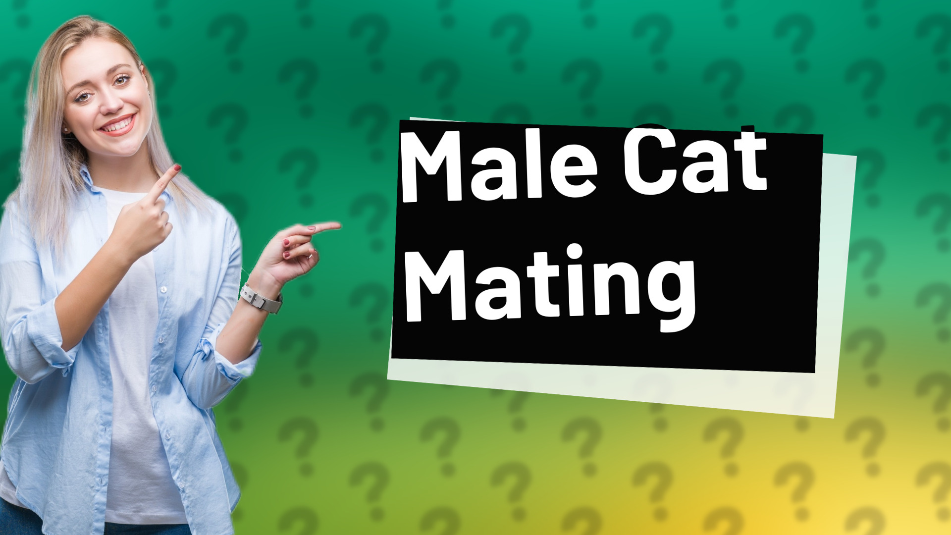 Male Cat Mating