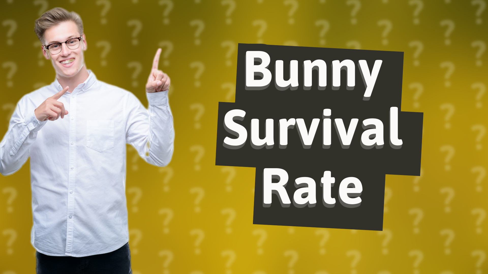Bunny Survival Rate