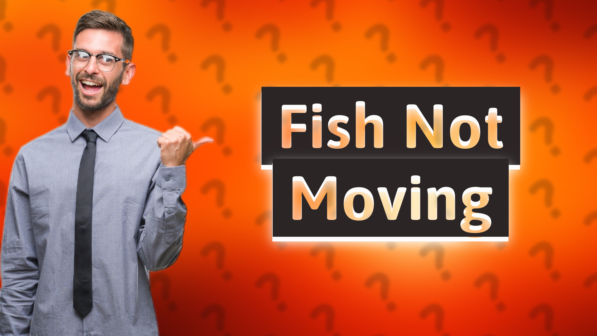 Fish Not Moving