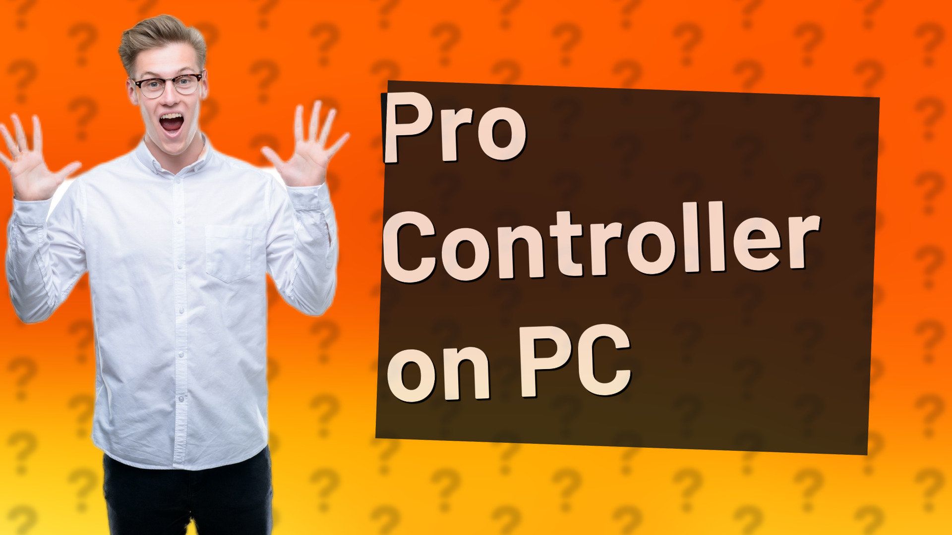 Pro Controller on PC
