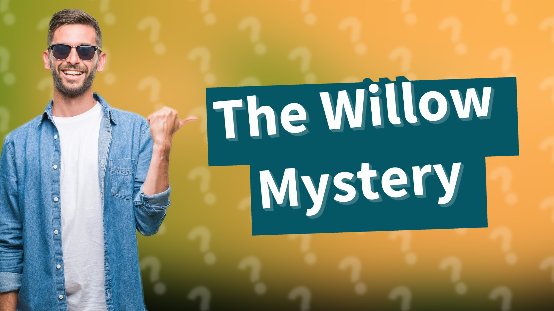 The Willow Mystery