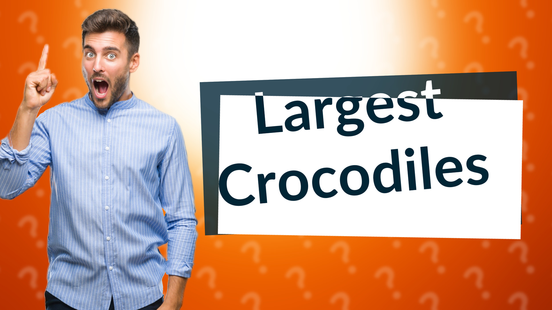 Largest Crocodiles