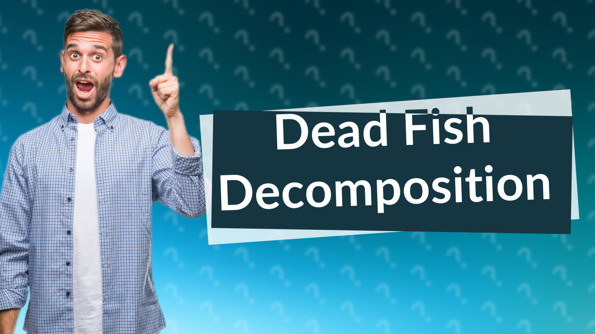 Dead Fish Decomposition