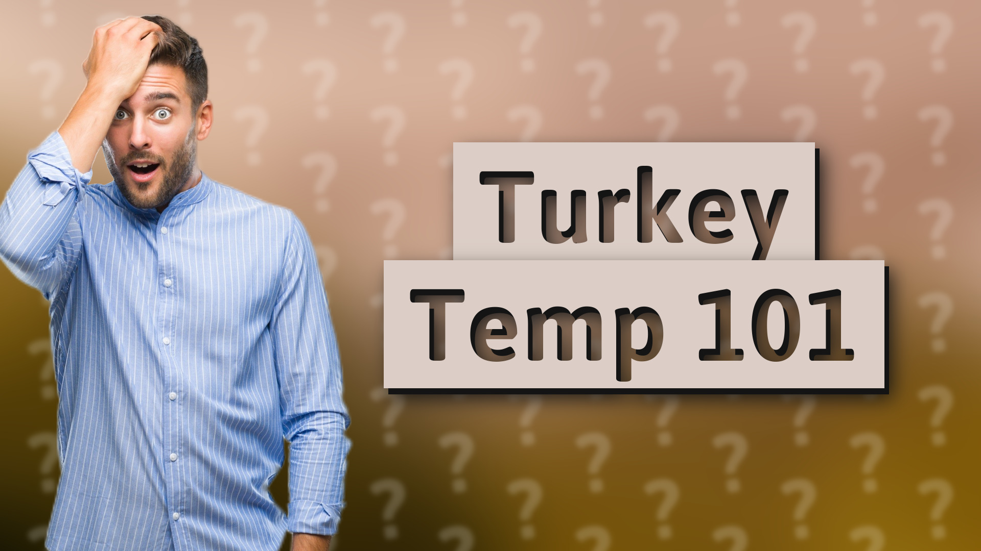 Turkey Temp 101
