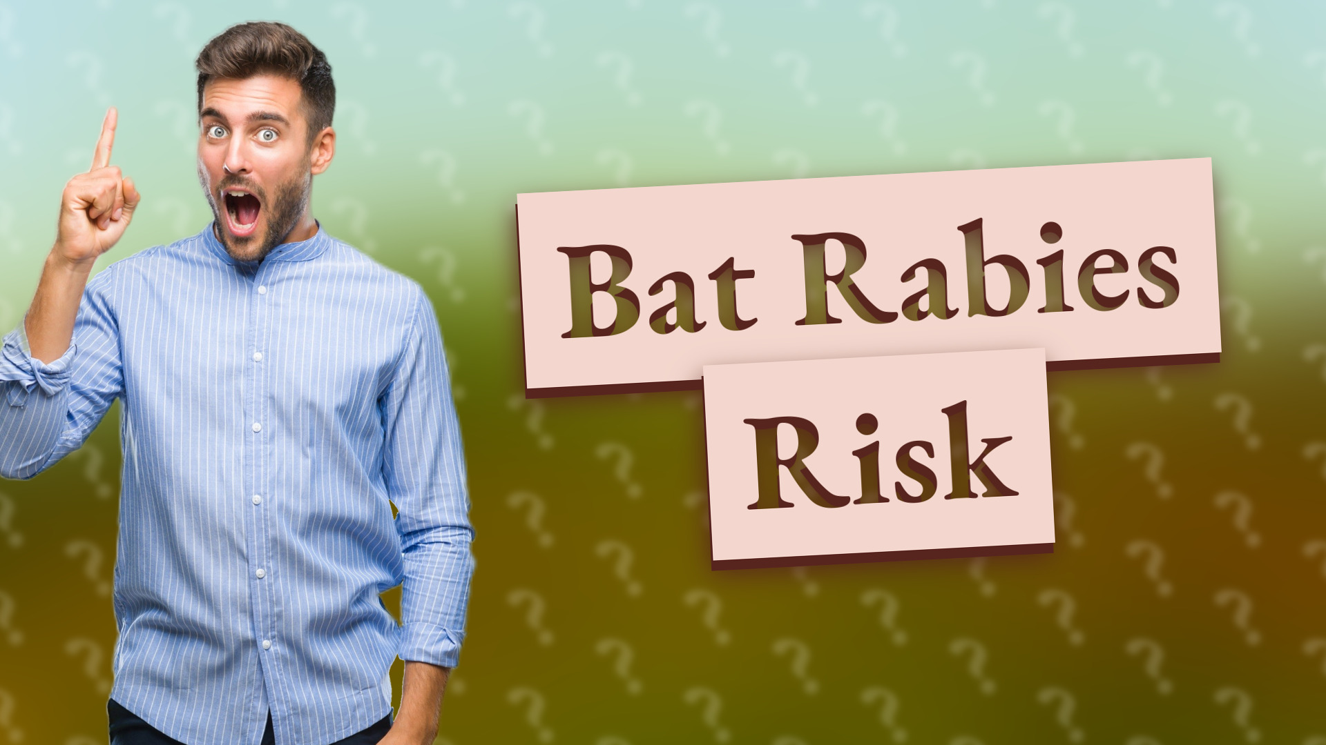 Bat Rabies Risk