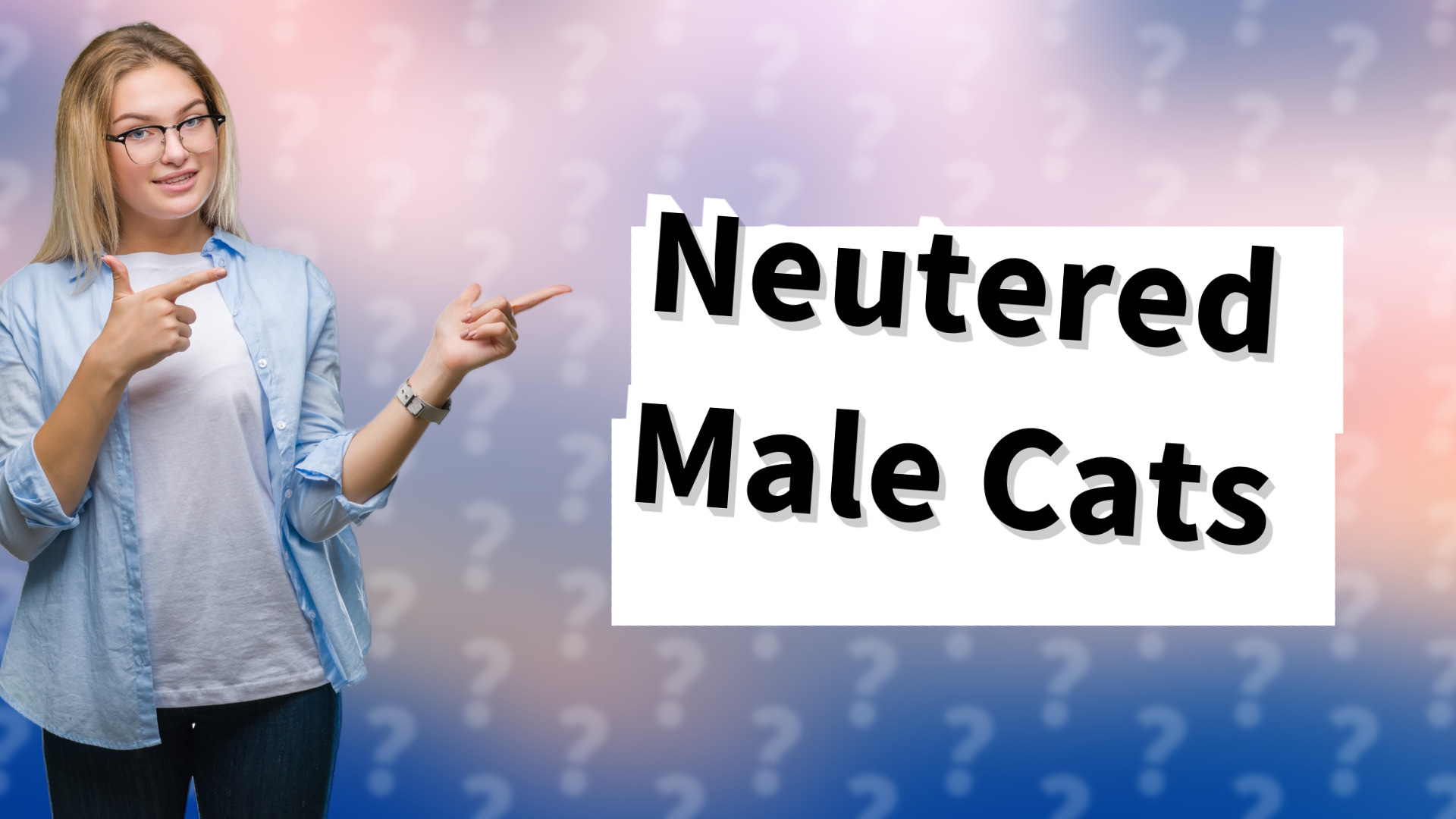 Neutered Male Cats