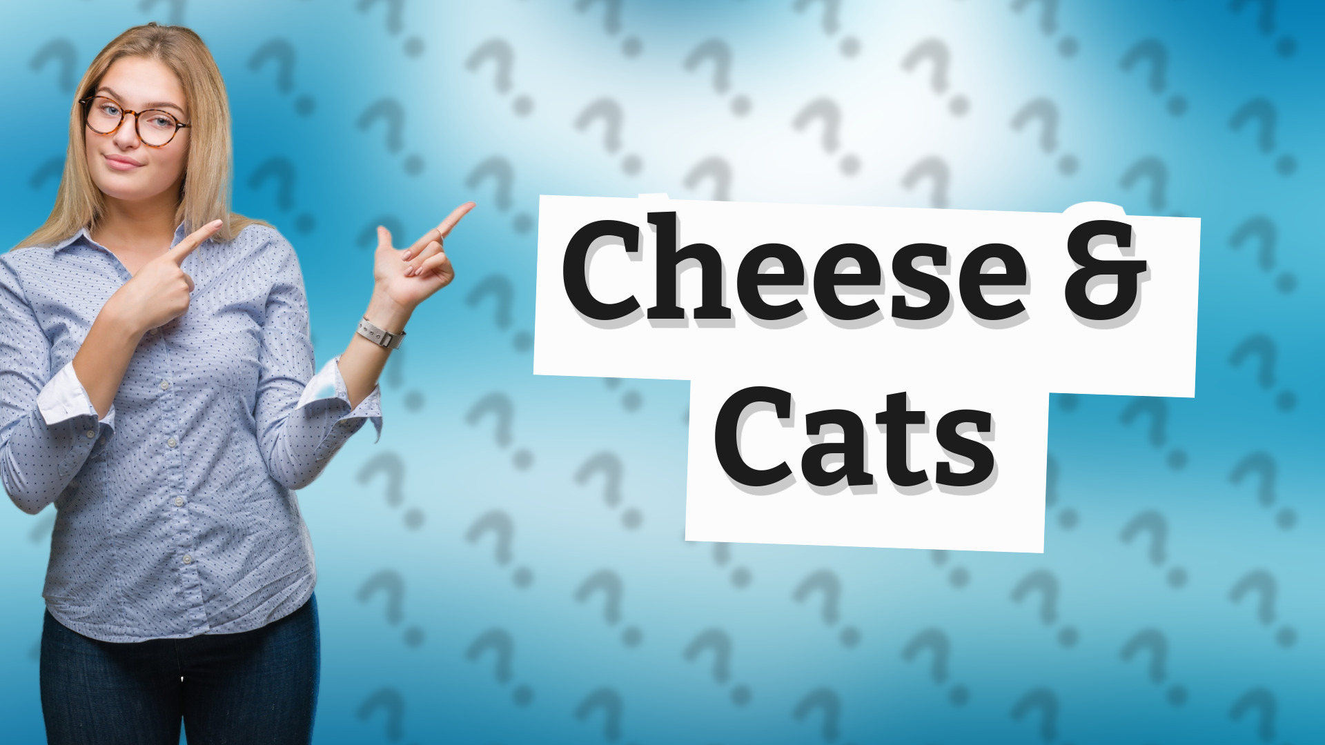 Cheese & Cats