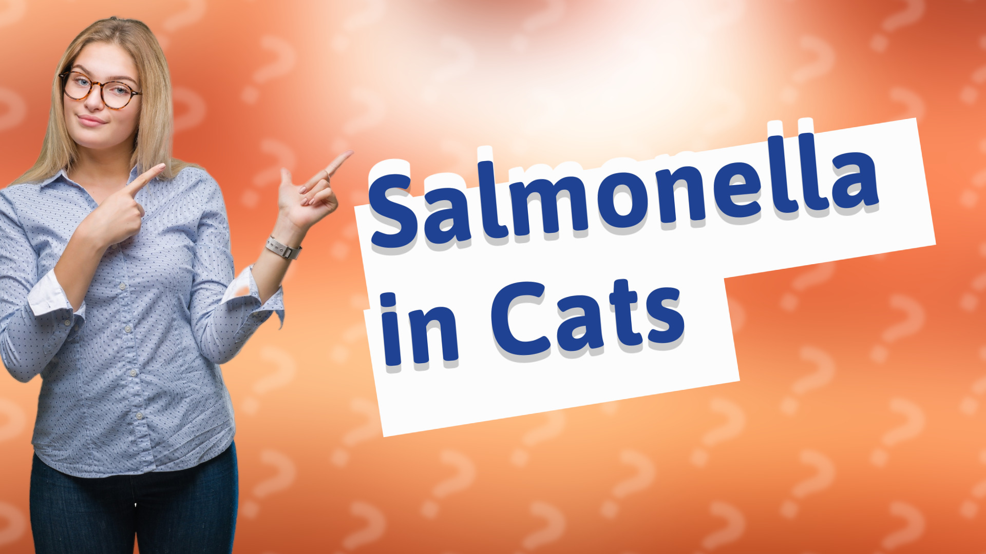 Salmonella in Cats