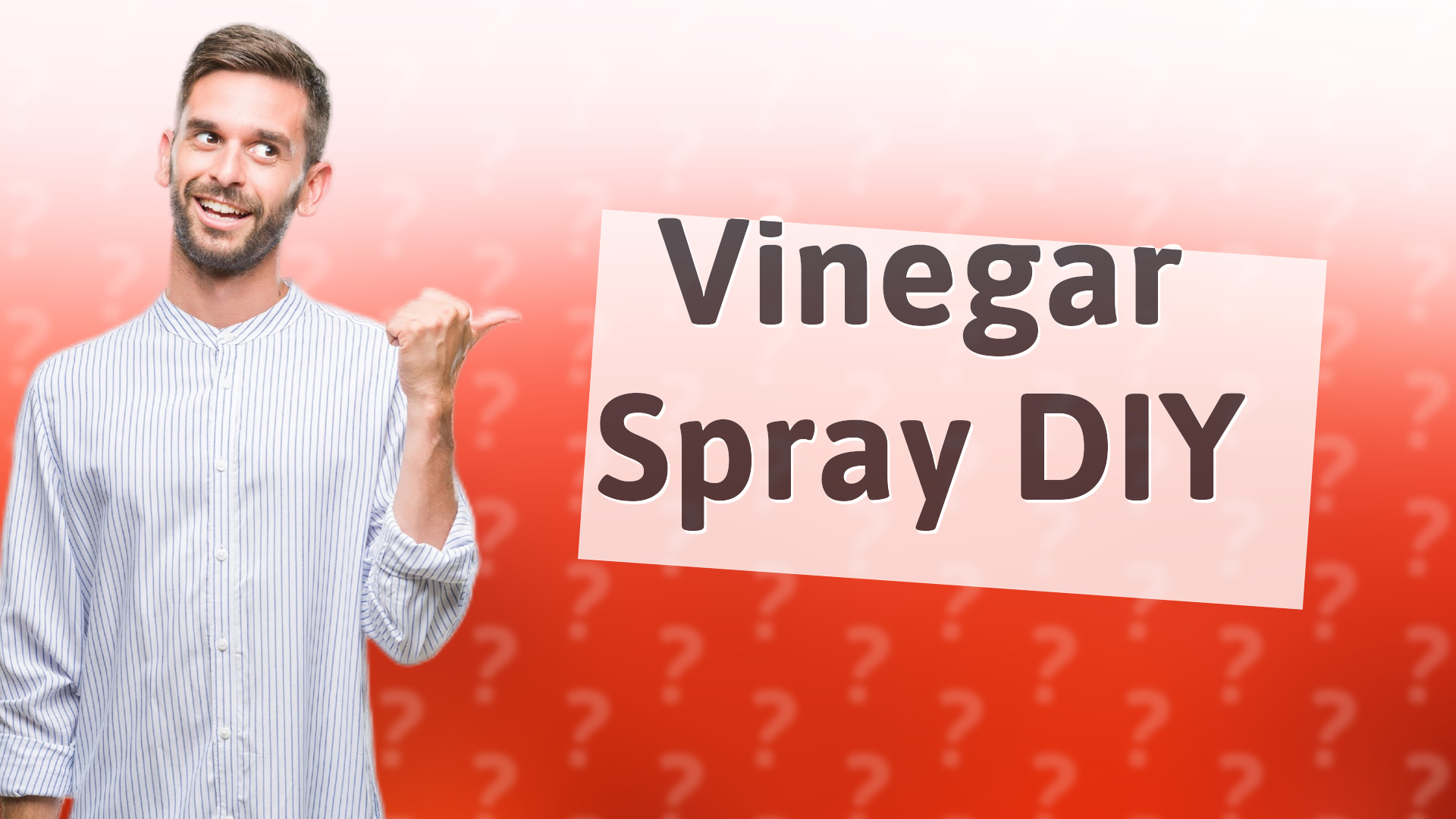 Vinegar Spray DIY