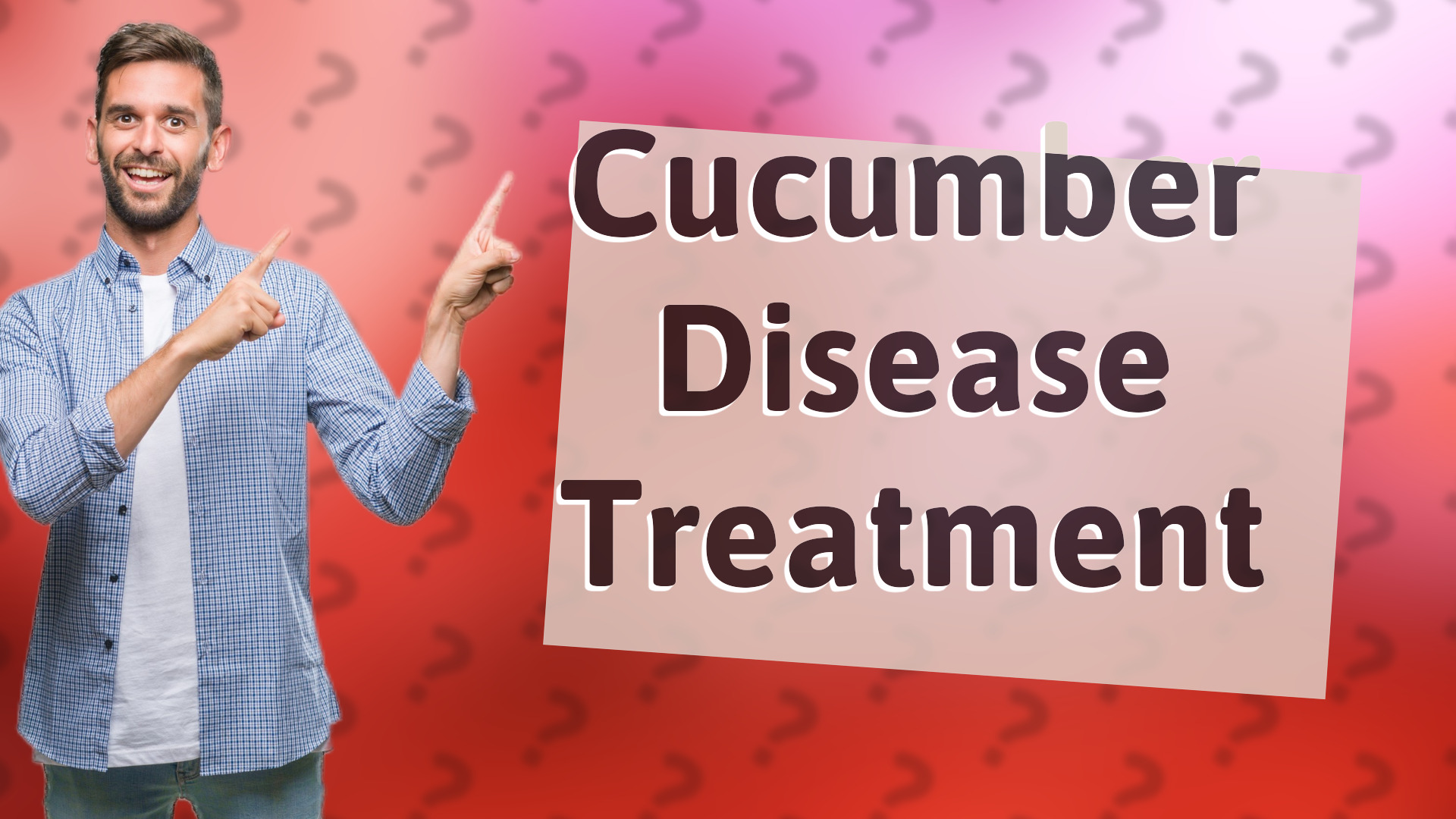 Cucumber Disease Treatment