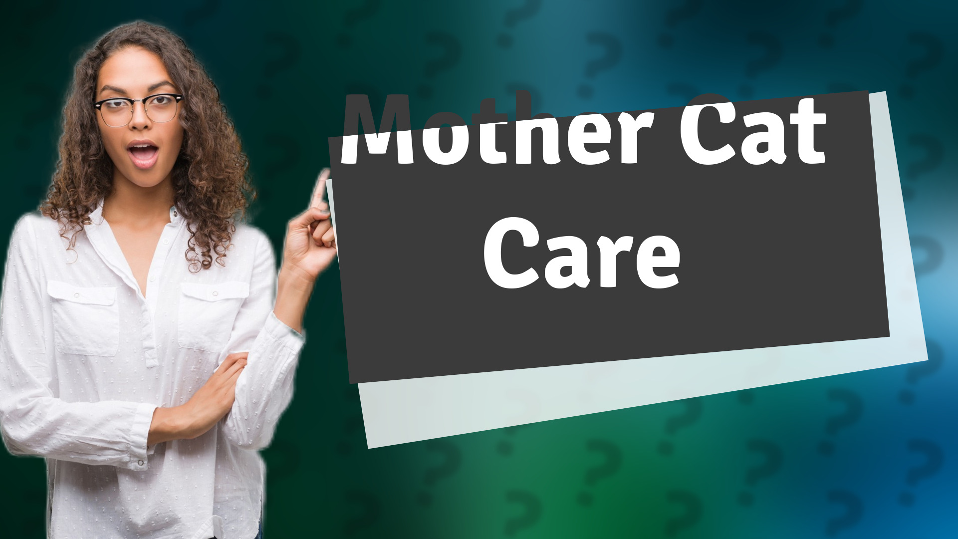 Mother Cat Care