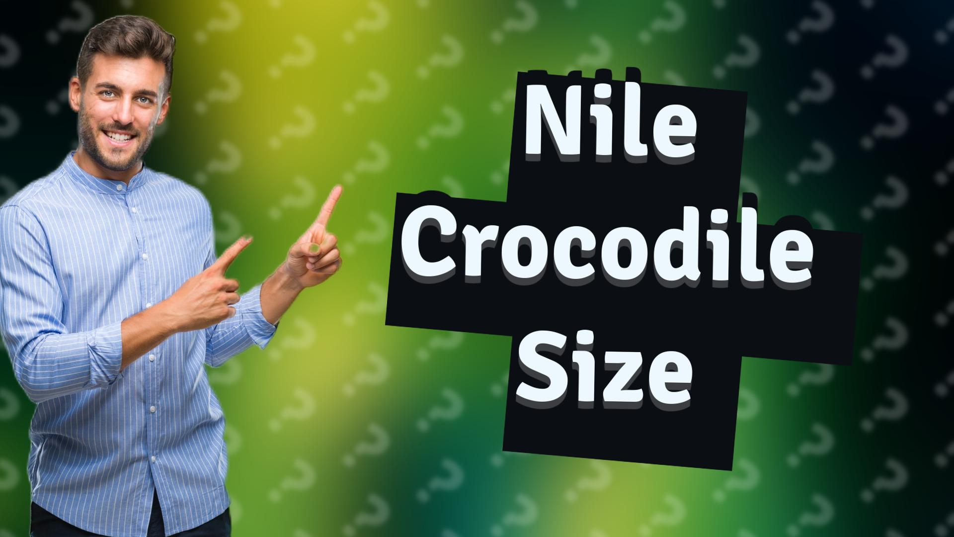 Nile Crocodile Size
