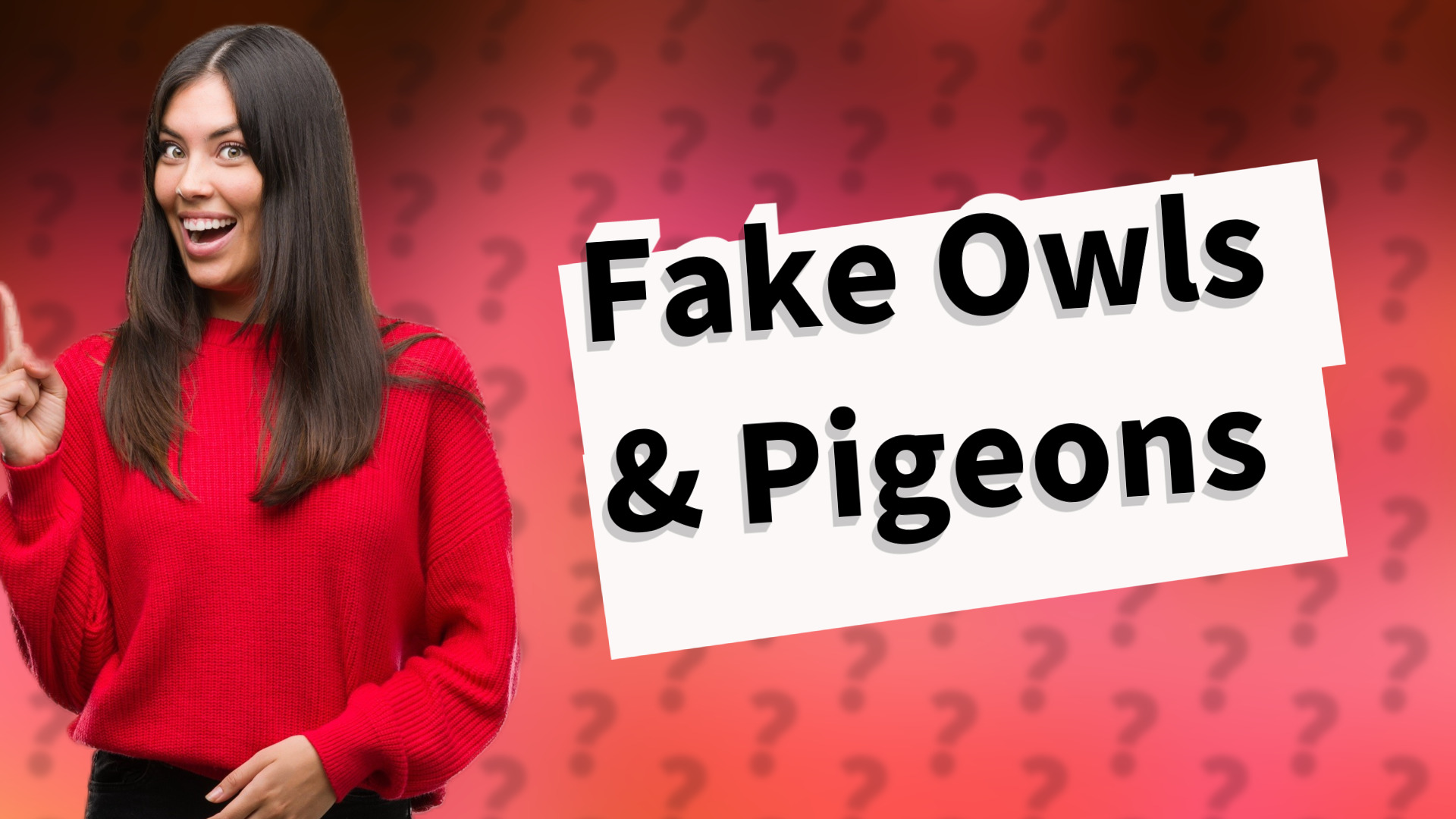 Fake Owls & Pigeons