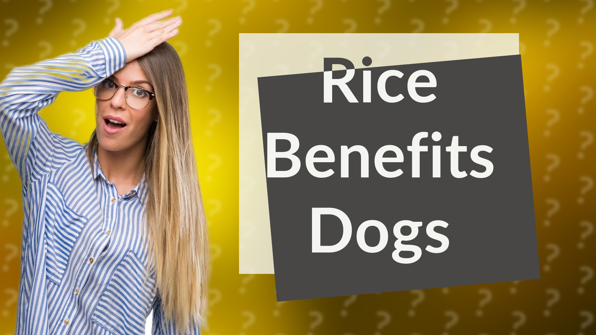 Rice Benefits Dogs