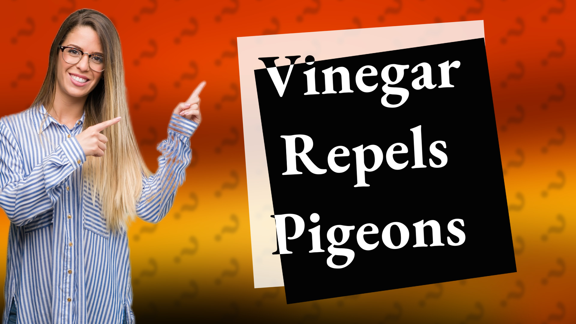 Vinegar Repels Pigeons