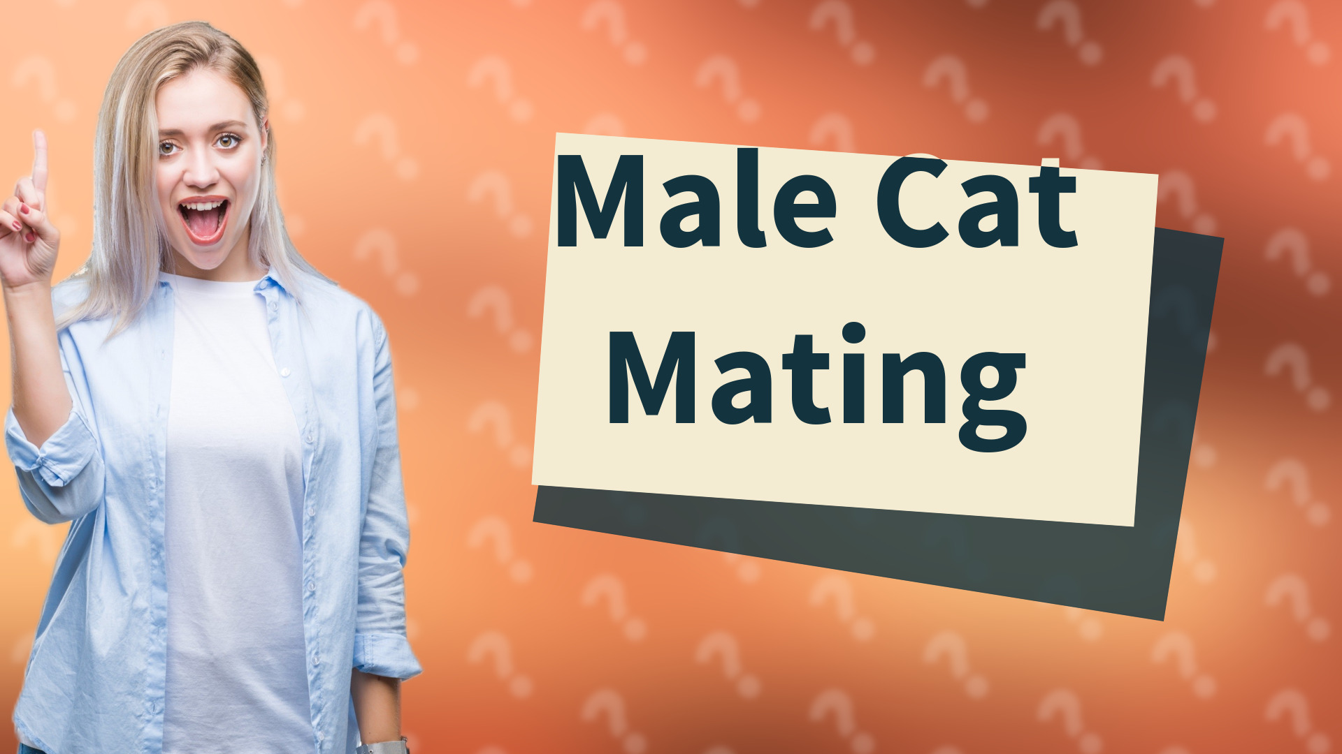 Male Cat Mating