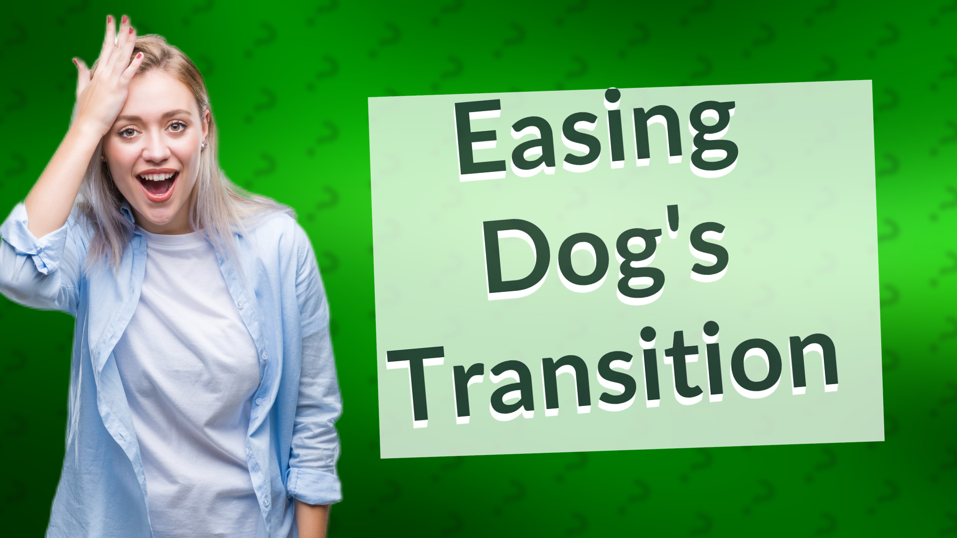 Easing Dog's Transition