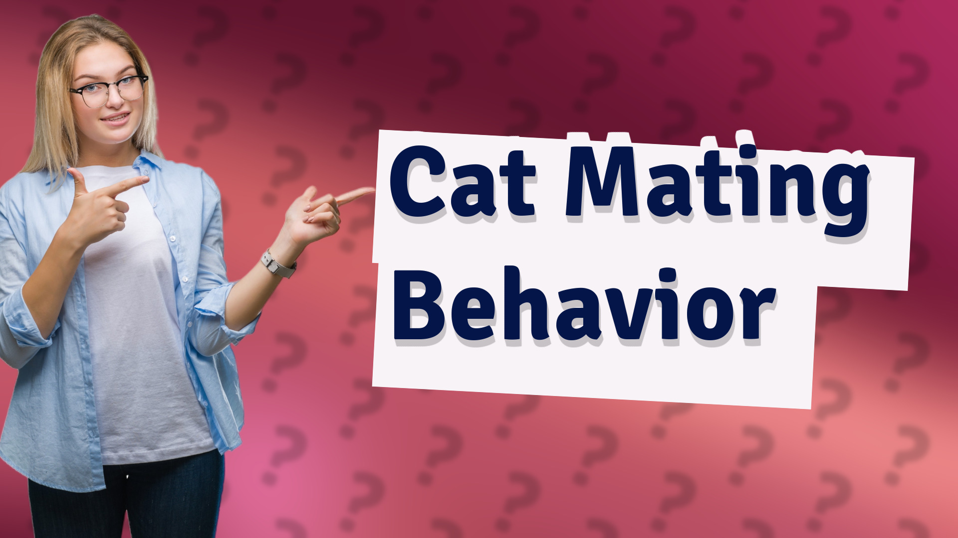 Cat Mating Behavior