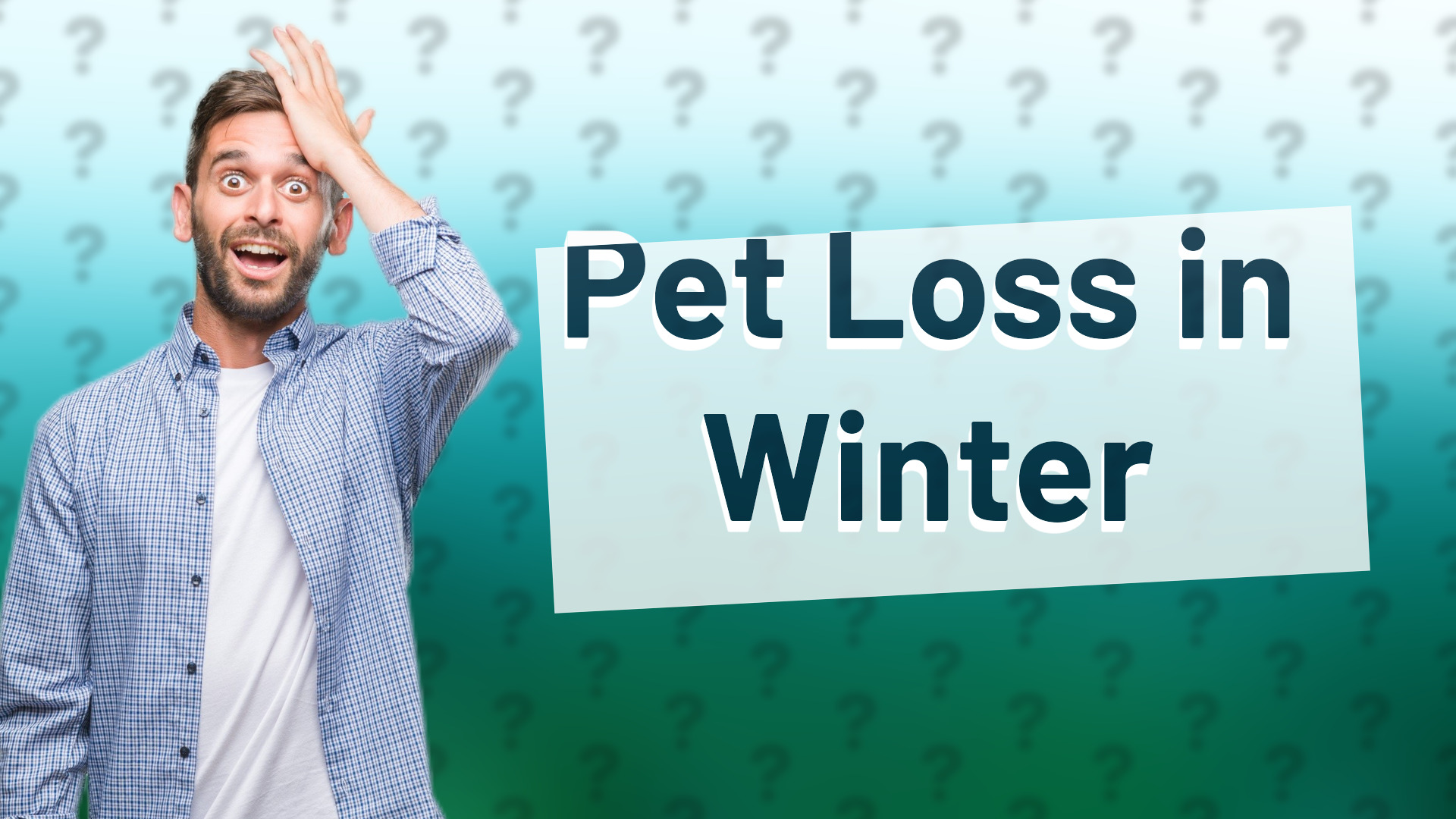 Pet Loss in Winter