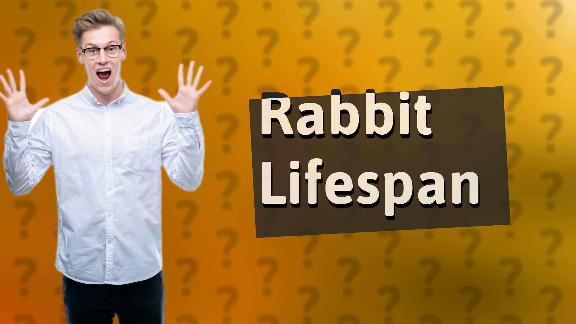 Rabbit Lifespan