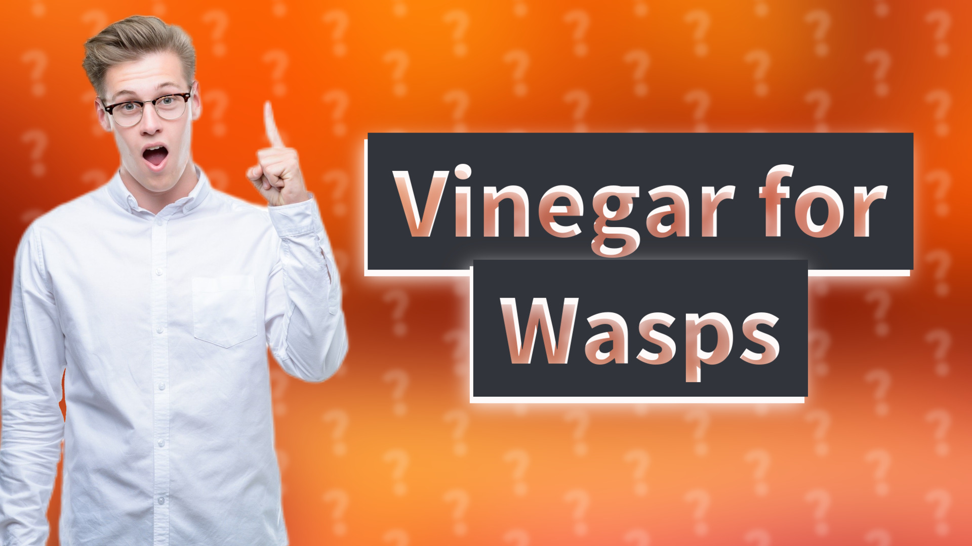 Vinegar for Wasps