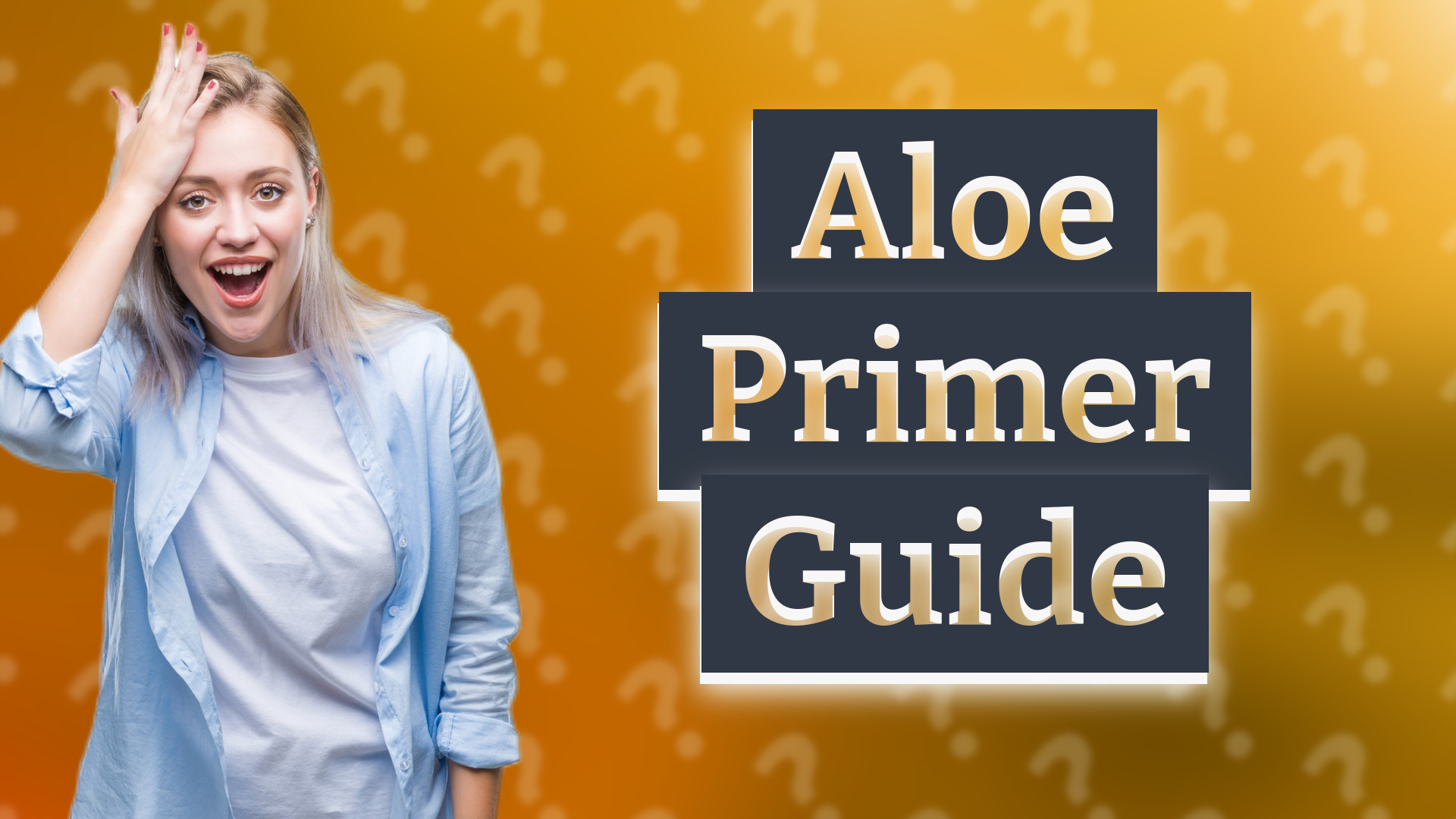 Aloe Primer Guide
