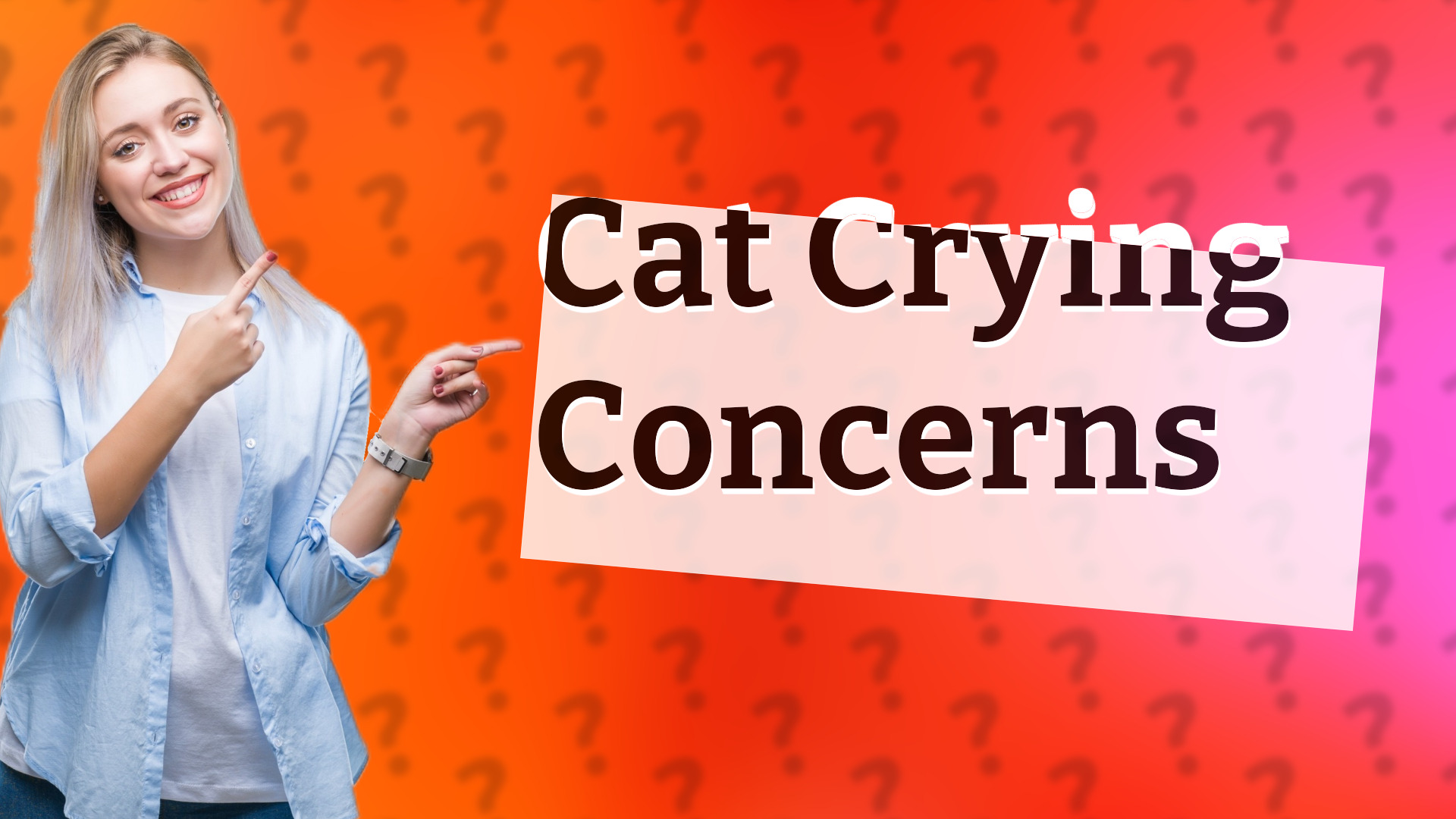 Cat Crying Concerns