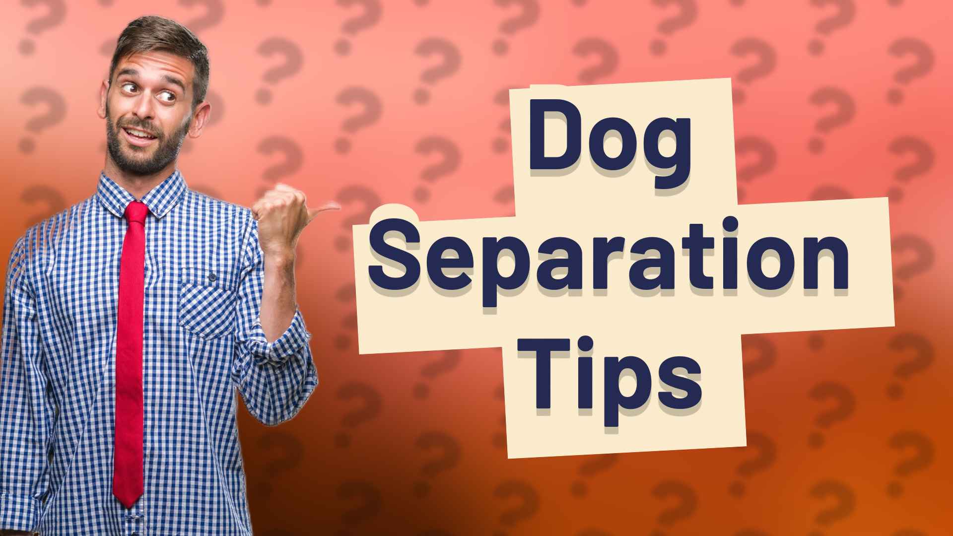 Dog Separation Tips