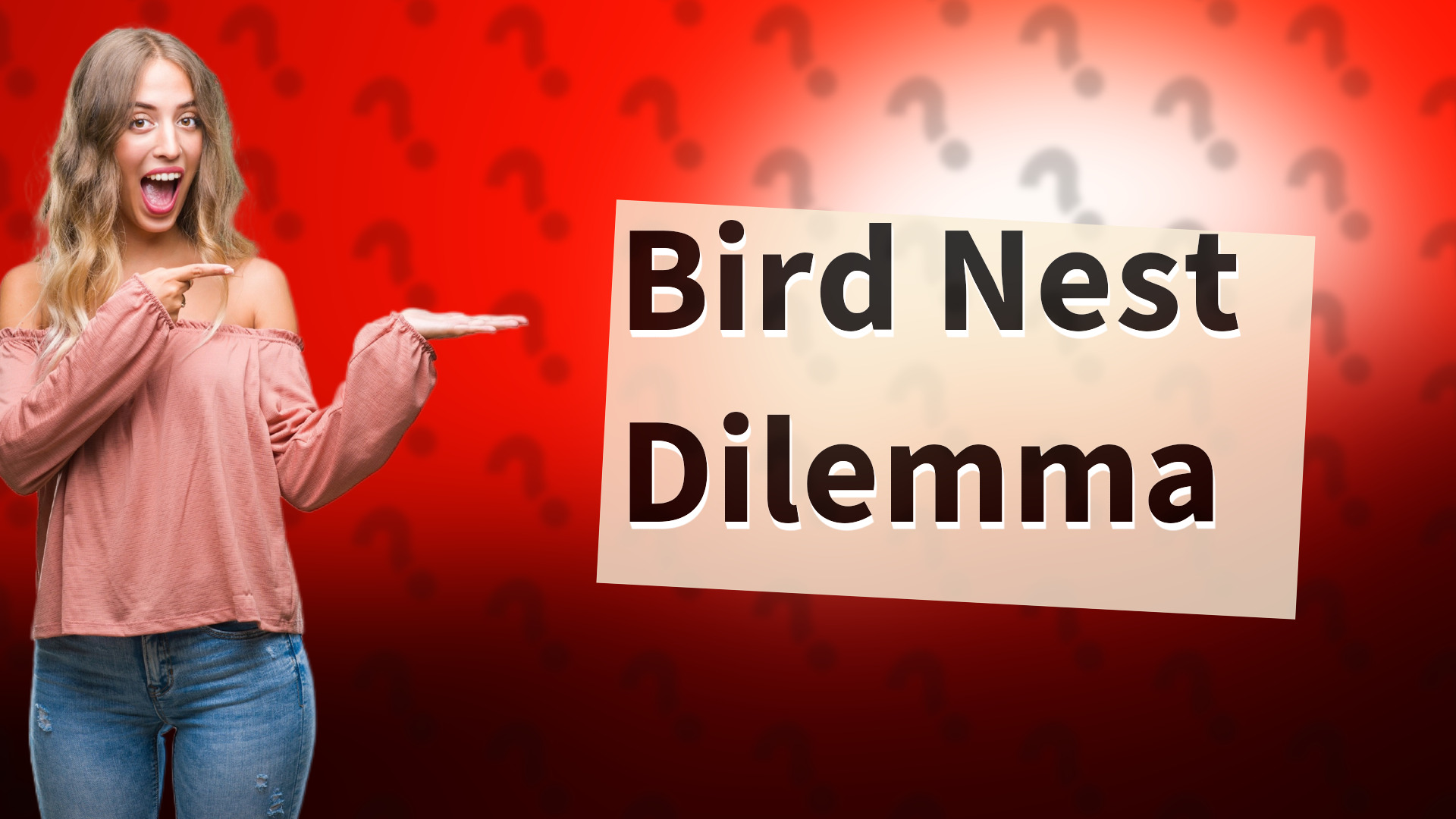 Bird Nest Dilemma