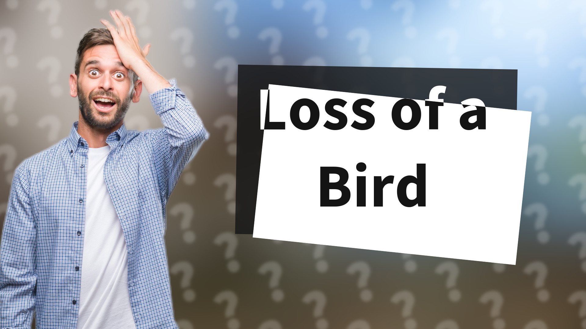 Loss of a Bird
