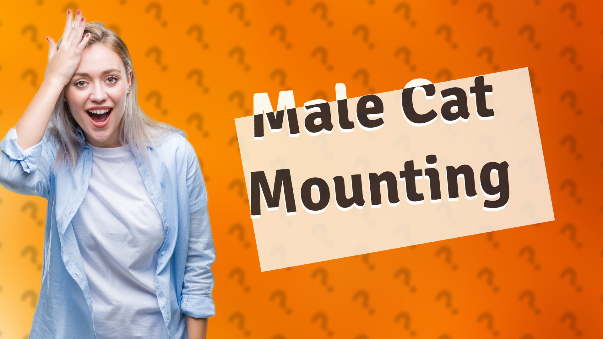 Male Cat Mounting