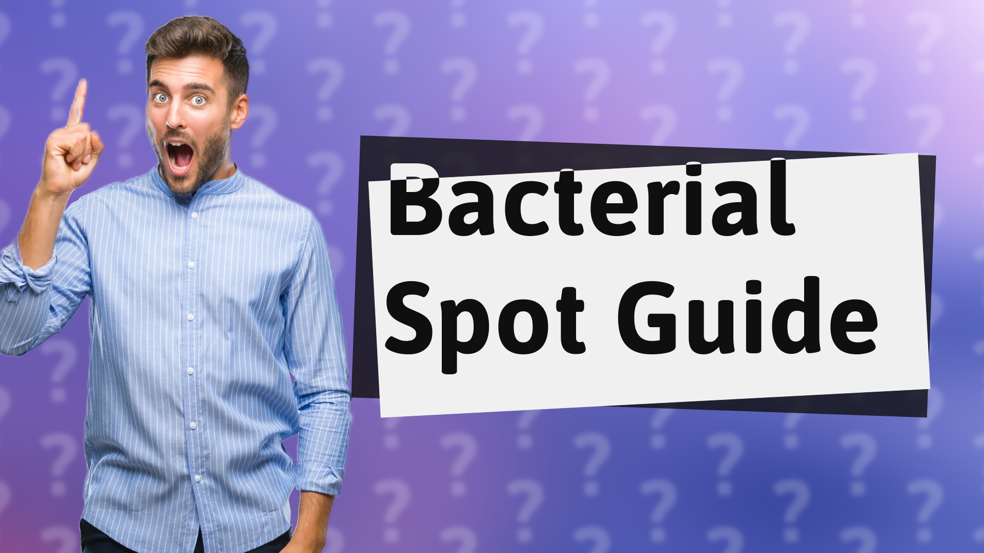 Bacterial Spot Guide