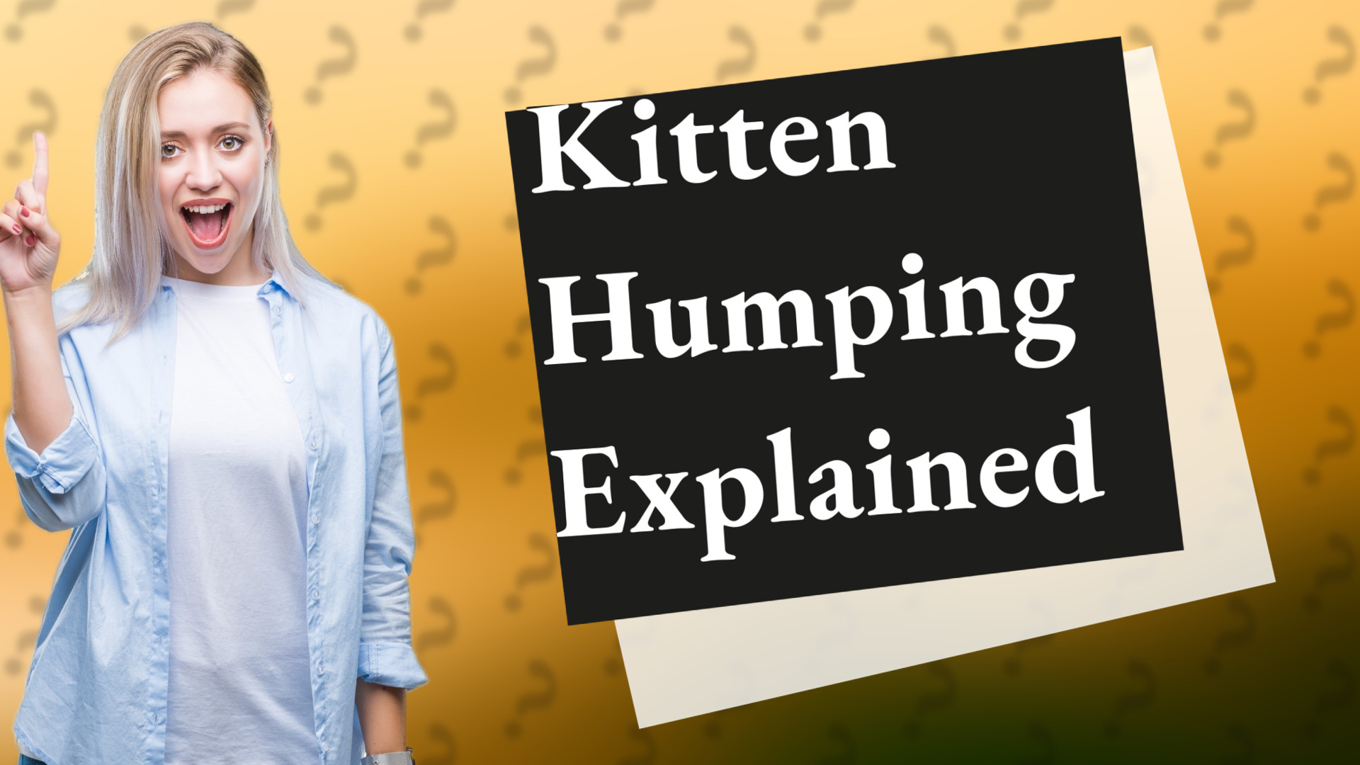 Kitten Humping Explained