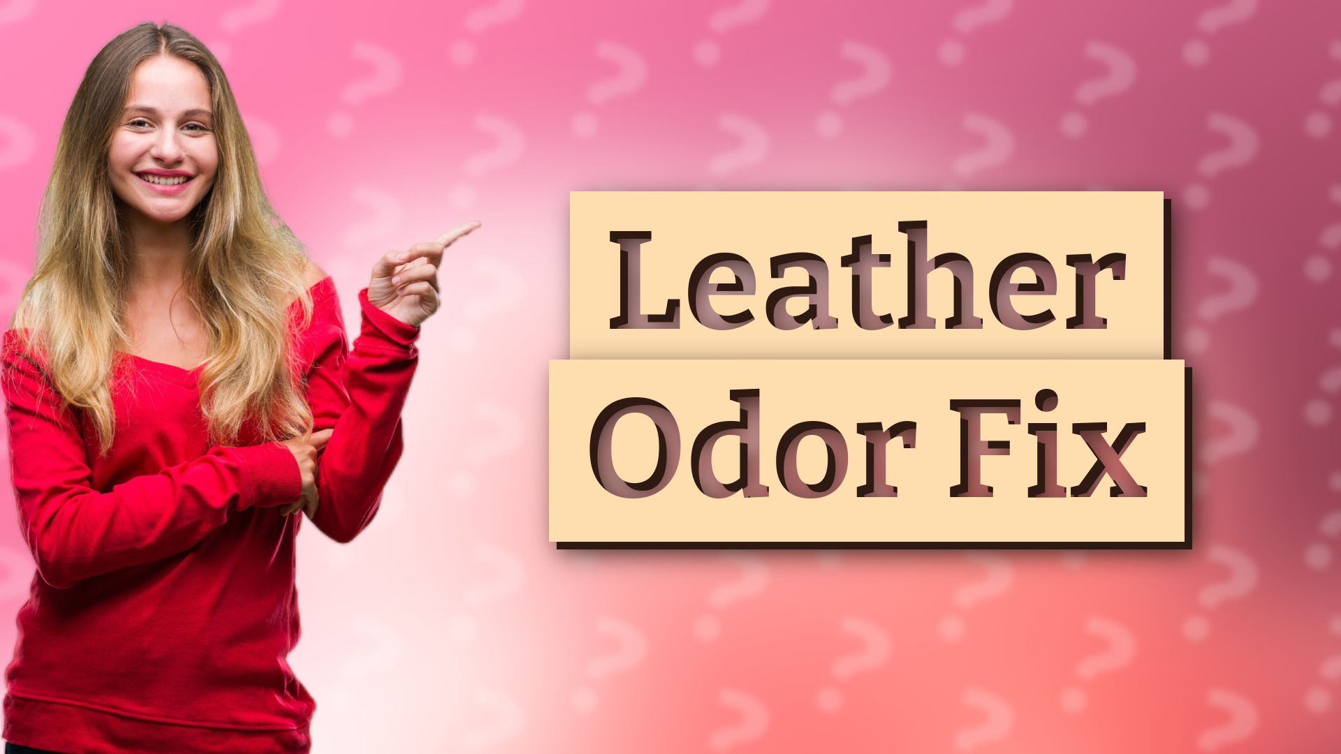 Leather Odor Fix