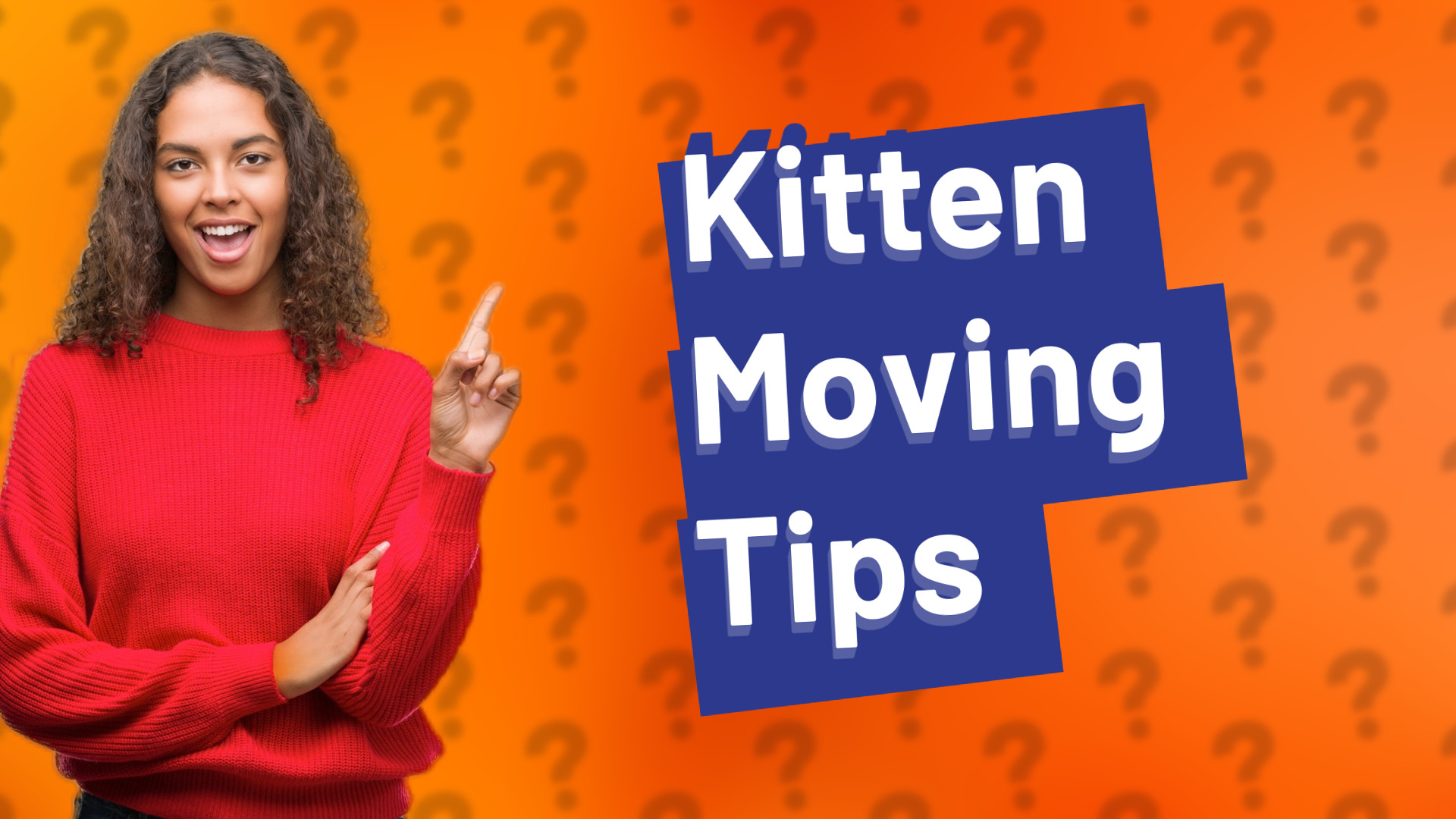Kitten Moving Tips