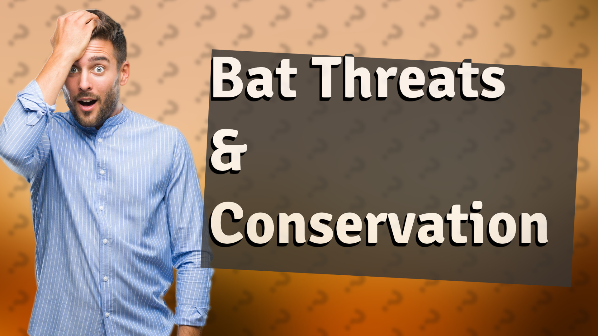 Bat Threats & Conservation