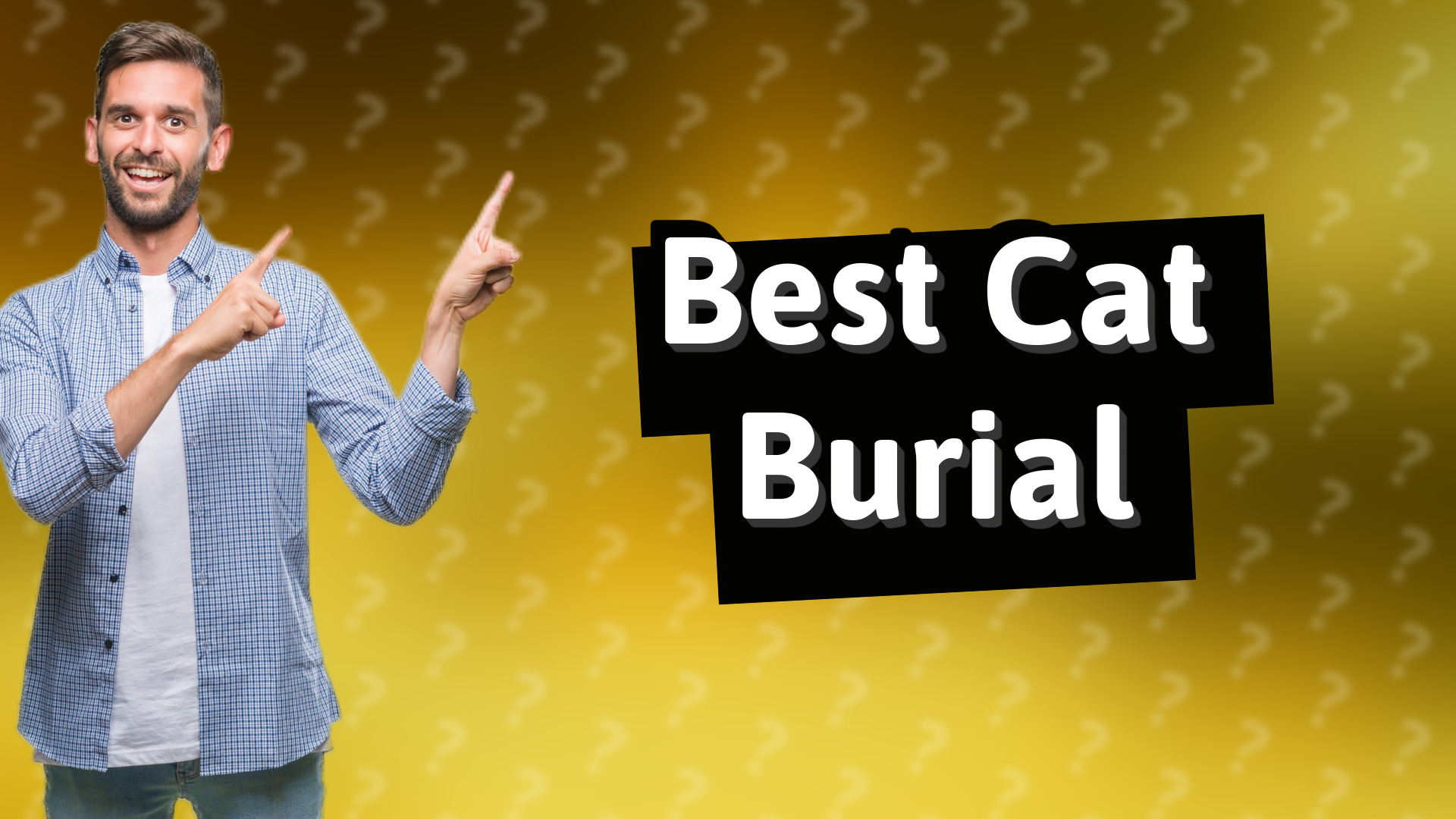 Best Cat Burial