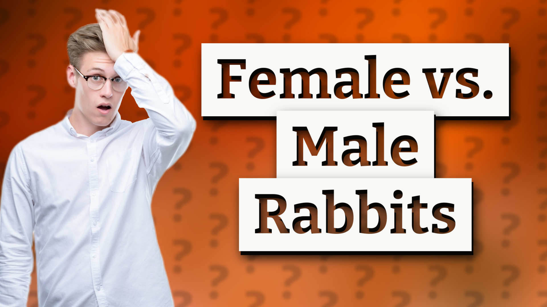 Female vs. Male Rabbits