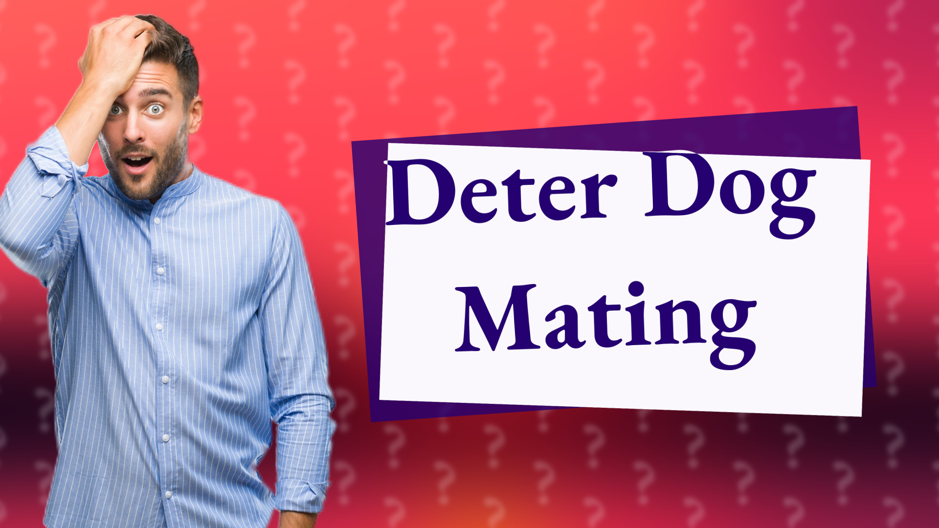 Deter Dog Mating