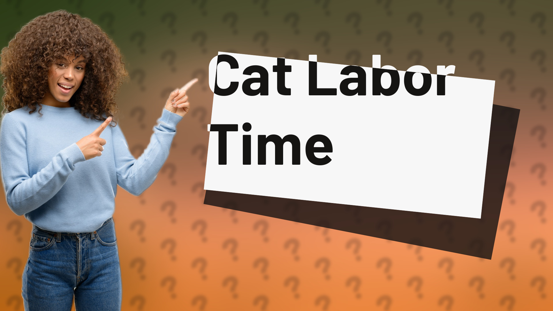 Cat Labor Time